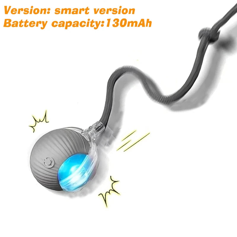 Smart & Interactive Rolling Dog/Cat Ball USB Rechargeable 3 Modes Non-Stop